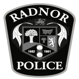 Radnor Government